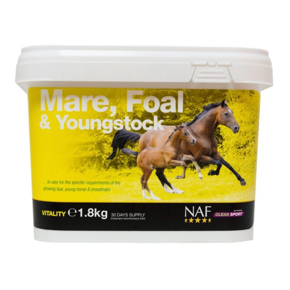 NAF Mare, Foal and Youngstock