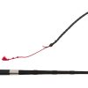 Inhand Cob Whip