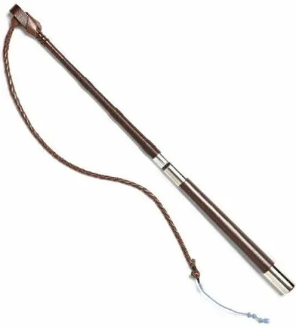Inhand Cob Whip
