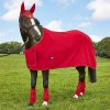 Dartmoor Showing Fleece Red
