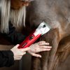 0025459_liveryman-black-beauty Liveryman Black Beauty Clippers