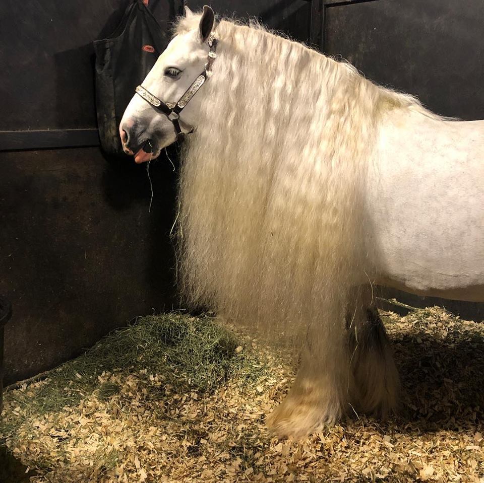 2 Mane-ly Conditioner And Hydrator