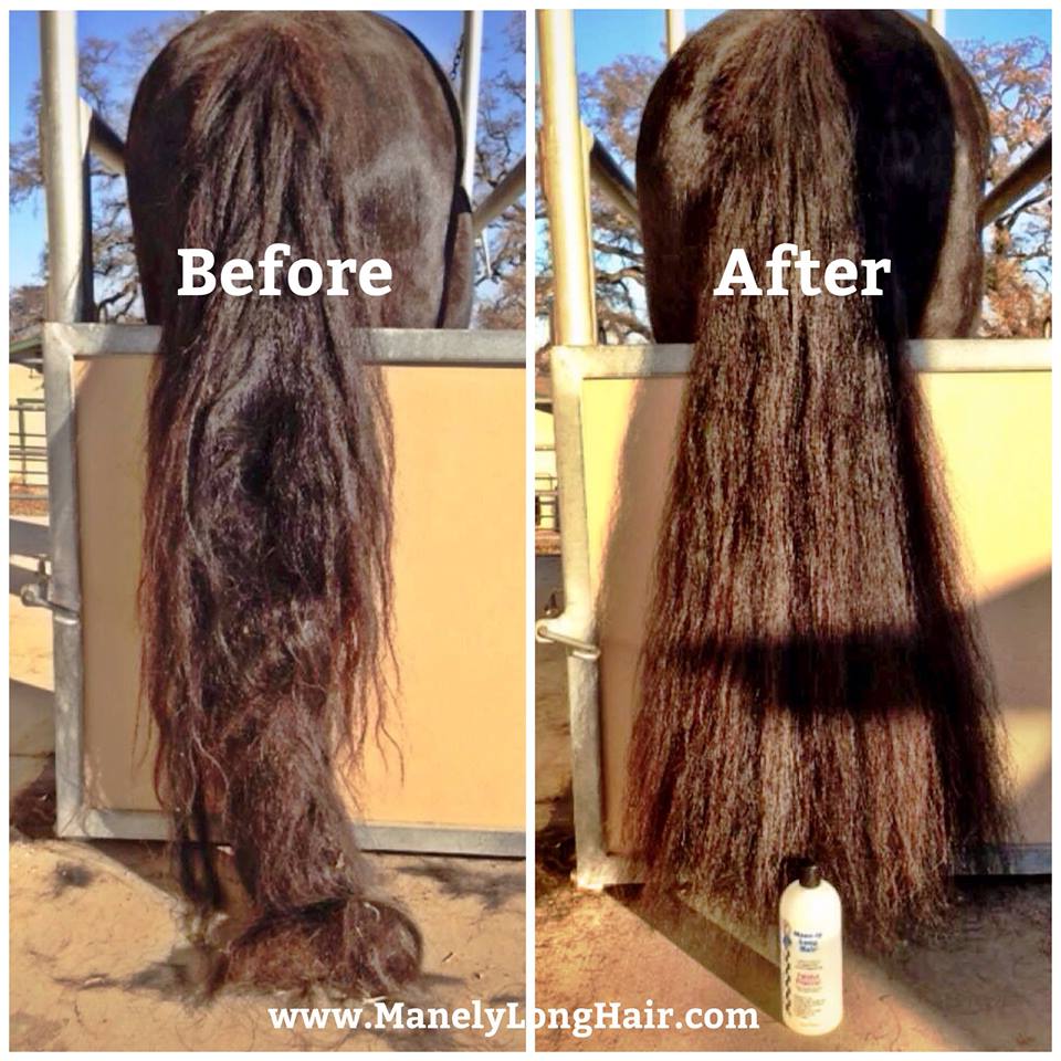 Mane-ly Long Hair Polisher Protector De-tangler