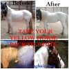 Shock-before-and-after-768x768 Mane-ly Long Hair – SHOCK Treatment