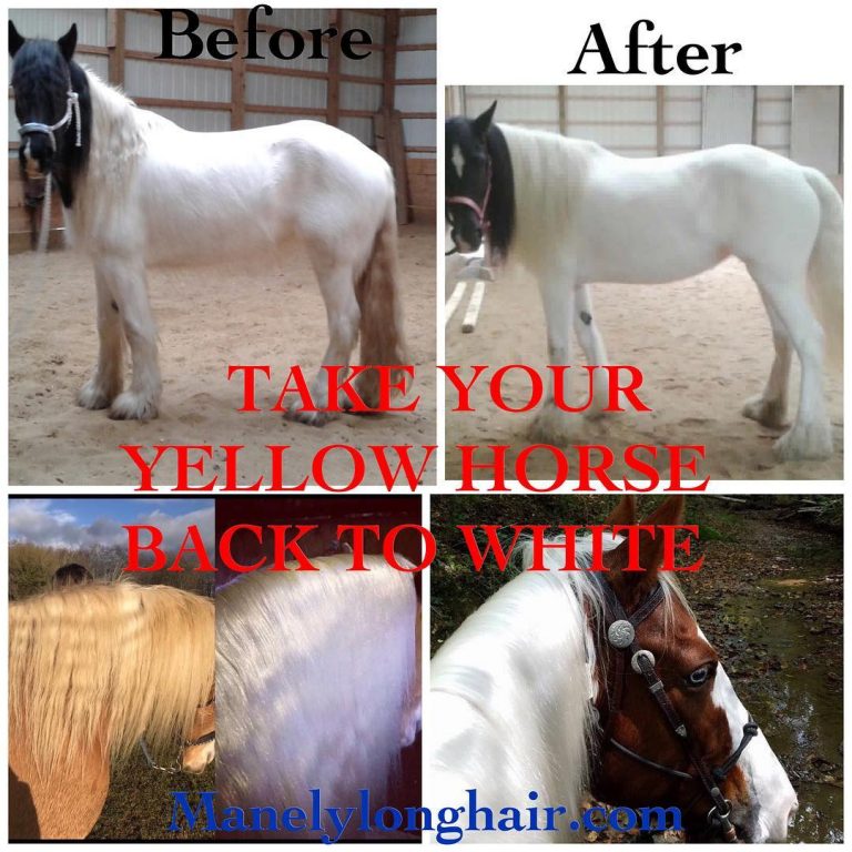 Shock-before-and-after-768x768 Mane-ly Long Hair – SHOCK Treatment