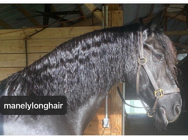 black Mane-ly Long Hair – SHOCK Treatment