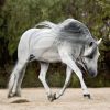 grey-768x512 Mane-ly Long Hair – SHOCK Treatment
